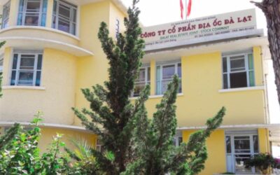 Cổ phiếu DLR: Thông tin doanh nghiệp, Đặc điểm tài chính, Phân tích kỹ thuật và Chiến lược đầu tư