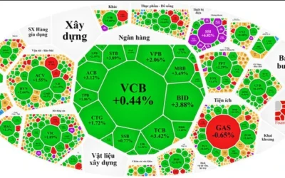 Foam tree chứng khoán: Thông tin, Cấu tạo, Lợi ích và Cách ứng dụng