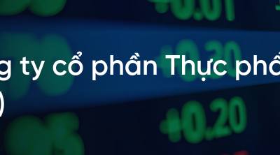 Cổ phiếu GCF: Thông tin, Đặc điểm, Vị thế ngành và Chiến lược đầu tư