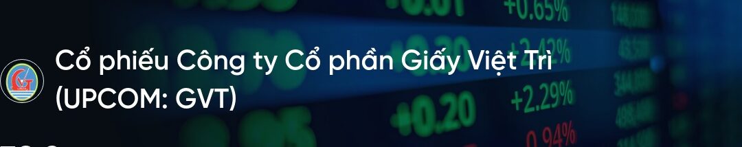 Cổ phiếu GVT: Thông tin doanh nghiệp, Chỉ số tài chính, Tiềm năng tăng trưởng và Chiến lược đầu tư