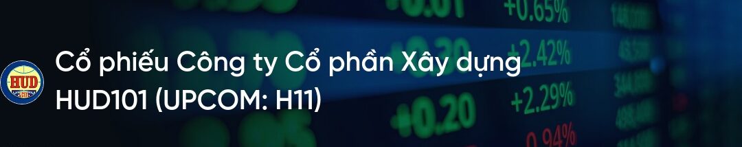 Cổ phiếu H11: Thông tin doanh nghiệp, Đặc điểm tài chính, Tiềm năng đầu tư và Chiến lược giao dịch