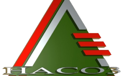 Cổ phiếu HC3: Thông tin, Đặc điểm, Định giá và Chiến lược đầu tư