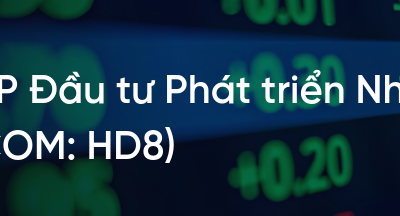 Cổ phiếu HD8: Thông tin, Chỉ số tài chính, Tiềm năng và Phân tích kỹ thuật