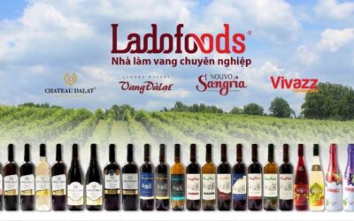 Cổ phiếu VDL: Thông tin, Đặc điểm, Tiềm năng và Cách đầu tư