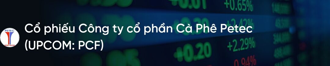 Cổ phiếu PCF: Thông tin, Đặc điểm, Tiềm năng và Chiến lược đầu tư