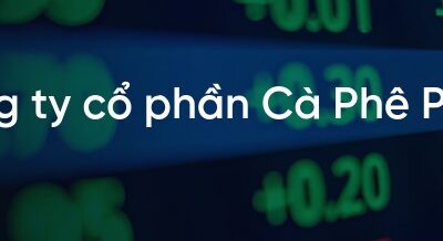 Cổ phiếu PCF: Thông tin, Đặc điểm, Tiềm năng và Chiến lược đầu tư