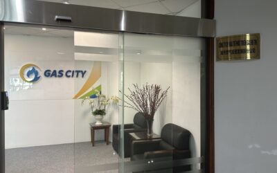 Cổ phiếu PCG: Thông tin doanh nghiệp, Đặc điểm, Kết quả kinh doanh và Chiến lược đầu tư