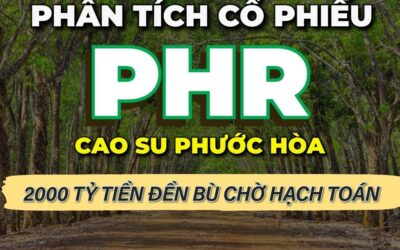 Cổ phiếu PHR: Thông tin doanh nghiệp, Đặc điểm tài chính, Tiềm năng quỹ đất và Chiến lược đầu tư 2026