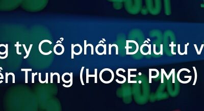Cổ phiếu PMG: Thông tin, Đặc điểm tài chính, Tiềm năng tăng trưởng và Chiến lược đầu tư