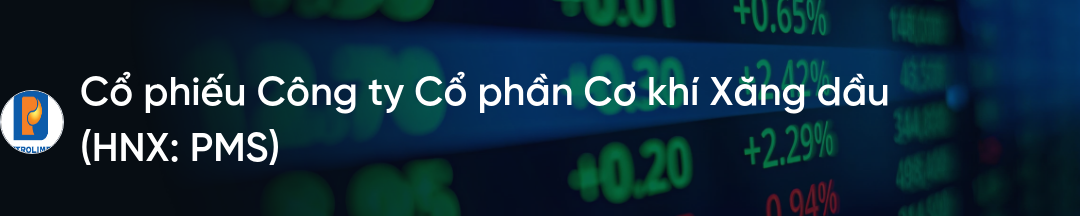 Cổ phiếu PMS: Thông tin, Đặc điểm, Tiềm năng và Chiến lược đầu tư