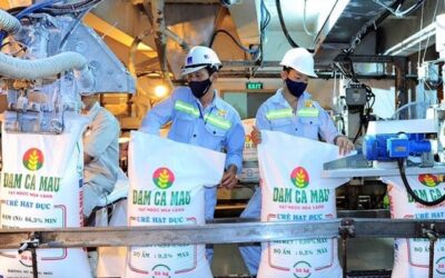 Cổ phiếu PSE: Thông tin doanh nghiệp, Đặc điểm tài chính, Tiềm năng đầu tư và Chiến lược giao dịch