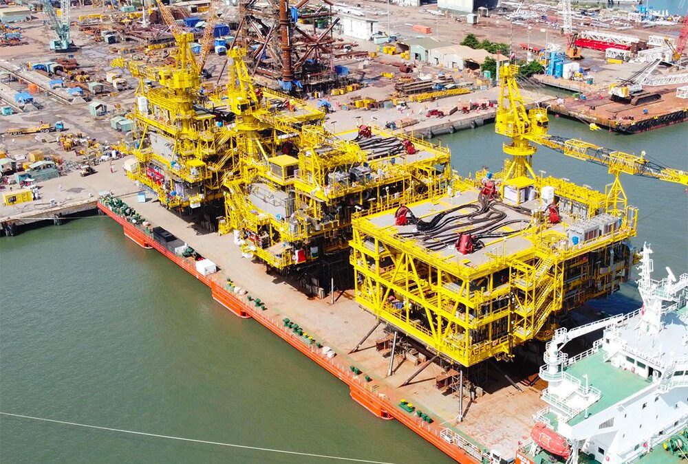 Cổ phiếu PAI: Thông tin doanh nghiệp, Chỉ số tài chính, Tiềm năng tăng trưởng và Chiến lược đầu tư