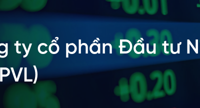 Cổ phiếu PVL: Thông tin doanh nghiệp, Chỉ số tài chính, Tiềm năng đầu tư và Phân tích kỹ thuật