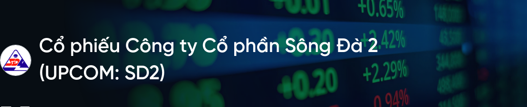 Cổ phiếu SD2: Thông tin doanh nghiệp, Đặc điểm tài chính, Phân tích kỹ thuật và Chiến lược đầu tư