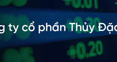 Cổ phiếu SPV: Thông tin, Đặc điểm, Lợi ích và Chiến lược đầu tư