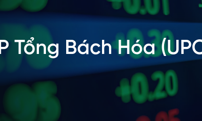 Chứng Khoán Casin - An Toàn Vốn & Gia Tăng Bền Vững 1 Cổ phiếu TBH: Thông tin, Đặc điểm, Đánh giá và Triển vọng đầu tư
