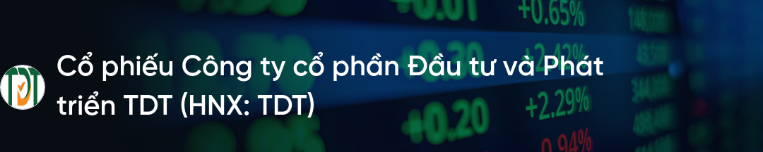 Cổ phiếu TDT: Thông tin, Đặc điểm, Tiềm năng đầu tư và Cách phân tích