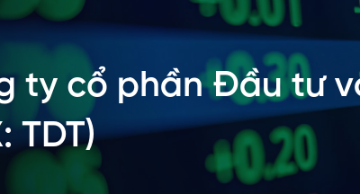 Cổ phiếu TDT: Thông tin, Đặc điểm, Tiềm năng đầu tư và Cách phân tích