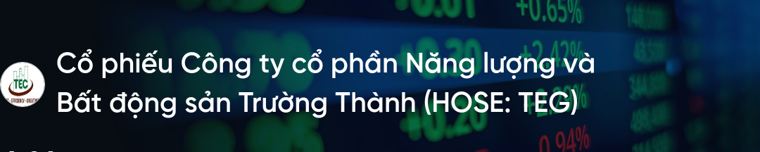 Cổ phiếu TEG: Thông tin doanh nghiệp, Chỉ số tài chính, Tiềm năng tăng trưởng và Chiến lược đầu tư 2026