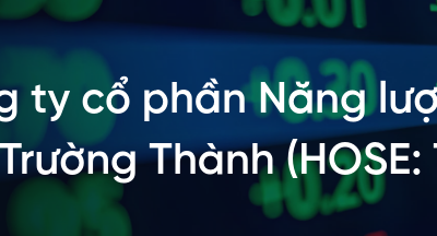 Cổ phiếu TEG: Thông tin doanh nghiệp, Chỉ số tài chính, Tiềm năng tăng trưởng và Chiến lược đầu tư 2026