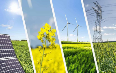 Cổ phiếu EMG: Thông tin, Chỉ số tài chính, Tiềm năng đầu tư và Chiến lược giao dịch