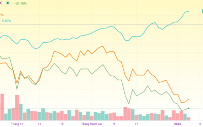 Tiềm năng cổ phiếu CII 2026: Thông tin, Đặc điểm, Tài chính, Dự án và Cách đầu tư
