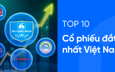 Top 10 cổ phiếu giá cao nhất Việt Nam: Thông tin, Đặc điểm, Danh sách và Kinh nghiệm đầu tư