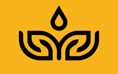 Cổ phiếu VHE: Thông tin niêm yết, Kết quả kinh doanh, Tiềm năng xuất khẩu và Phân tích kỹ thuật 2026