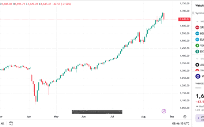 Vnindex điều chỉnh: Thông tin, Dấu hiệu, Nguyên nhân và Chiến lược đầu tư