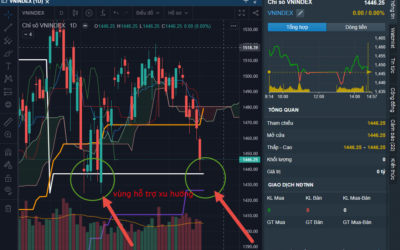 Biểu đồ chứng khoán FireAnt: Thông tin, Đặc điểm, Công dụng và Cách chăm sóc