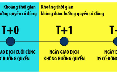 Chứng Khoán Casin - An Toàn Vốn & Gia Tăng Bền Vững 3 Chia cổ tức bằng cổ phiếu khi nào về tài khoản: Quy định, Quy trình và Cách kiểm tra