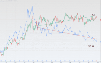 Cổ phiếu BMV: Thông tin, Đặc điểm, Công dụng và Chiến lược đầu tư