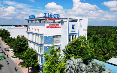 Cổ phiếu CTN: Thông tin niêm yết, Chỉ số tài chính, Triển vọng doanh nghiệp và Chiến lược đầu tư