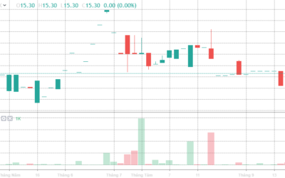 Cổ phiếu DAE: Thông tin niêm yết, Đặc điểm tài chính, Tiềm năng đầu tư và Phân tích kỹ thuật