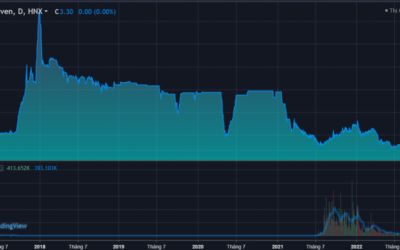 Cổ phiếu DL1: Thông tin, Đặc điểm, Tiềm năng và Cách đầu tư hiệu quả