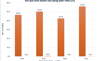Cổ phiếu E12: Thông tin, Đặc điểm, Tiềm năng và Chiến lược đầu tư