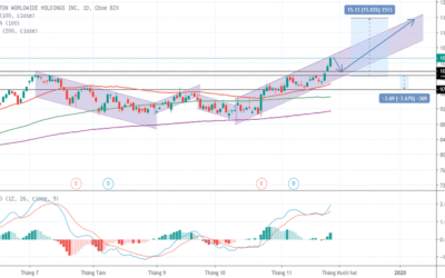 Cổ phiếu HLT: Thông tin doanh nghiệp, Chỉ số tài chính, Triển vọng thị trường và Hướng dẫn đầu tư