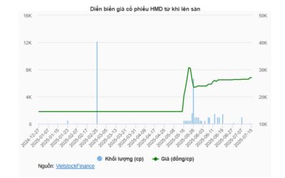 Cổ phiếu HMD: Thông tin, Đặc điểm, Tiềm năng và Chiến lược đầu tư