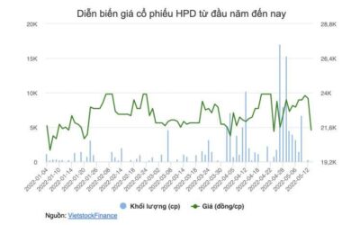 Cổ phiếu HPD: Thông tin, Đặc điểm, Tiềm năng và Chiến lược đầu tư