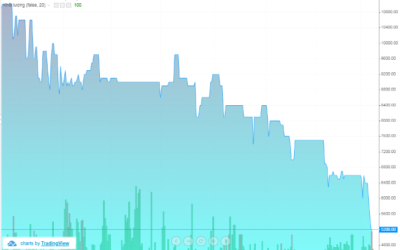 Cổ phiếu KKC: Thông tin doanh nghiệp, Đặc điểm, Phân tích tài chính và Chiến lược đầu tư