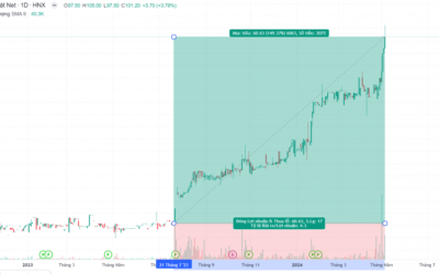 Cổ phiếu NET: Thông tin, Đặc điểm, Tiềm năng và Định giá