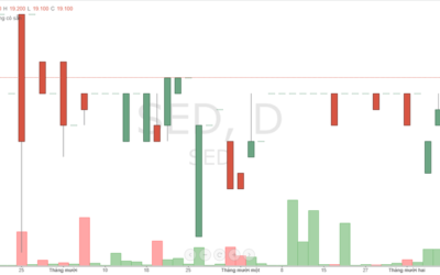Cổ phiếu SED: Thông tin doanh nghiệp, Chỉ số tài chính, Phân tích VSA và Chiến lược đầu tư