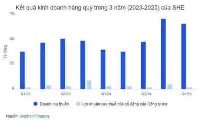Cổ phiếu SHE: Thông tin, Đặc điểm, Tiềm năng và Chiến lược đầu tư