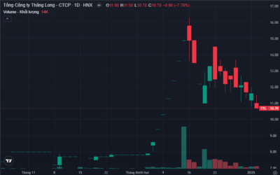 Cổ phiếu TTL: Thông tin niêm yết, Đặc điểm tài chính, Tiềm năng đầu tư và Phân tích rủi ro