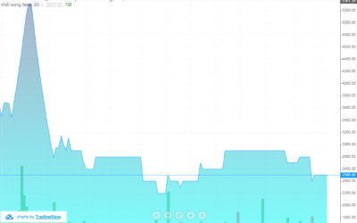 Cổ phiếu AGF: Thông tin doanh nghiệp, Đặc điểm tài chính, Công dụng đầu tư và Cách giao dịch
