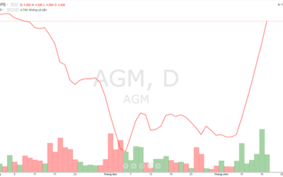 Cổ phiếu AGM: Thông tin tài chính, Đặc điểm kinh doanh, Triển vọng thị trường và Chiến lược đầu tư 2026
