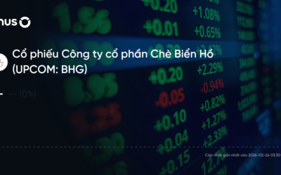 Cổ phiếu BHG: Thông tin, Đặc điểm, Tiềm năng và Chiến lược đầu tư