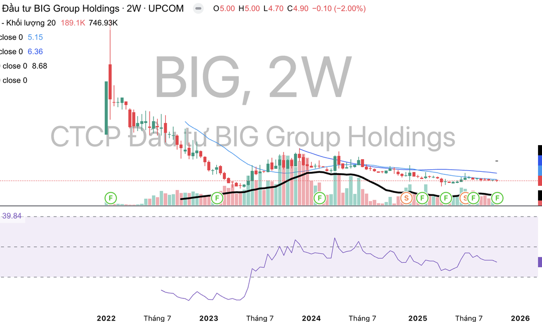 Cổ phiếu BIG: Thông tin doanh nghiệp, Đặc điểm tài chính, Tiềm năng đầu tư và Phân tích kỹ thuật