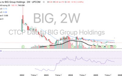 Cổ phiếu BIG: Thông tin doanh nghiệp, Đặc điểm tài chính, Tiềm năng đầu tư và Phân tích kỹ thuật