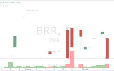 Cổ phiếu BRR: Thông tin, Đặc điểm, Tiềm năng và Chiến lược đầu tư